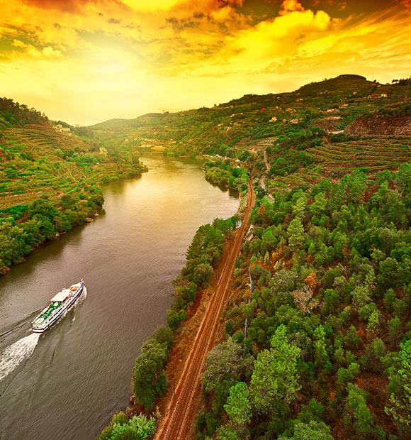 Douro Vineyards in Portugal